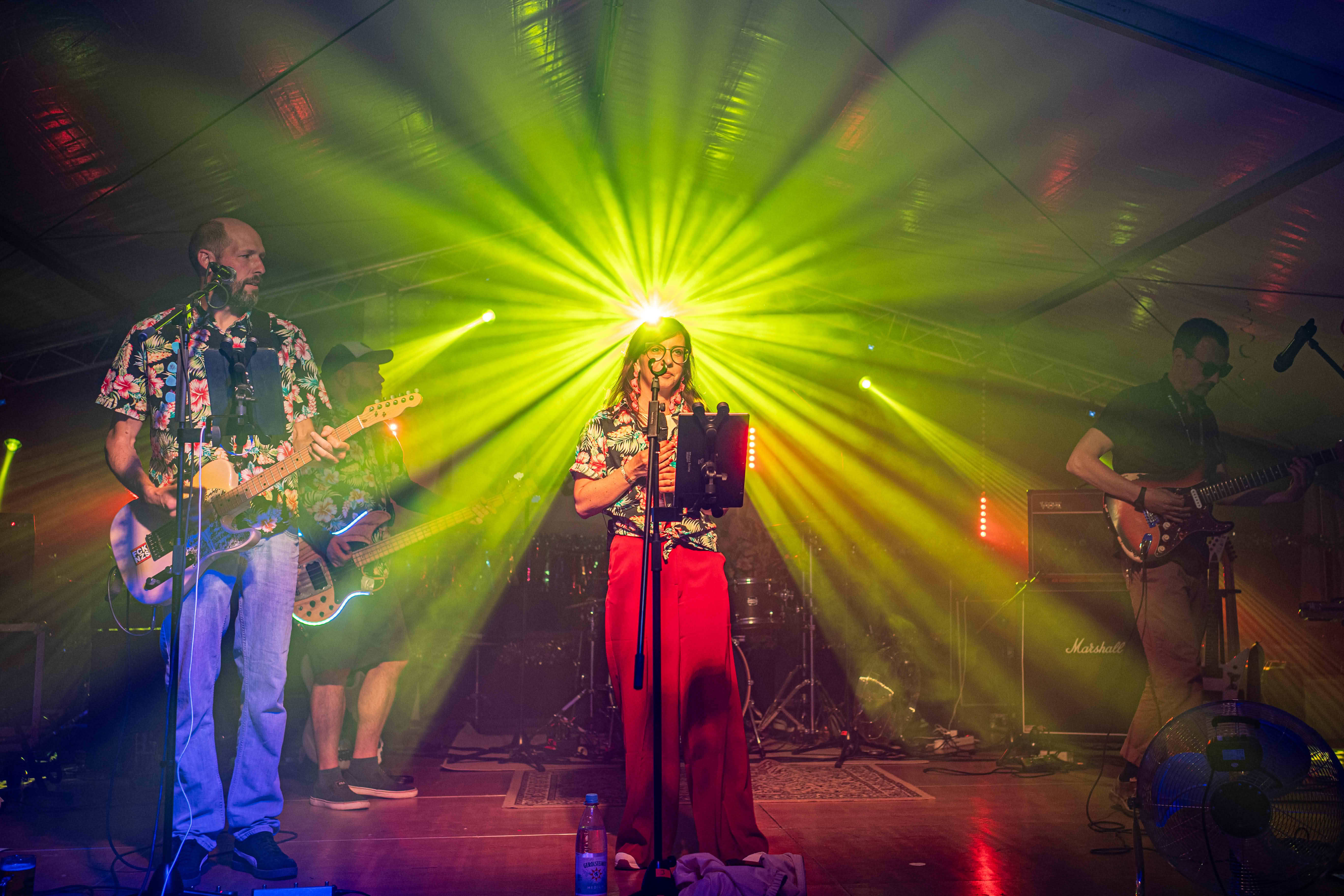 Bassist im Licht – tiefer Groove auf der Bühne